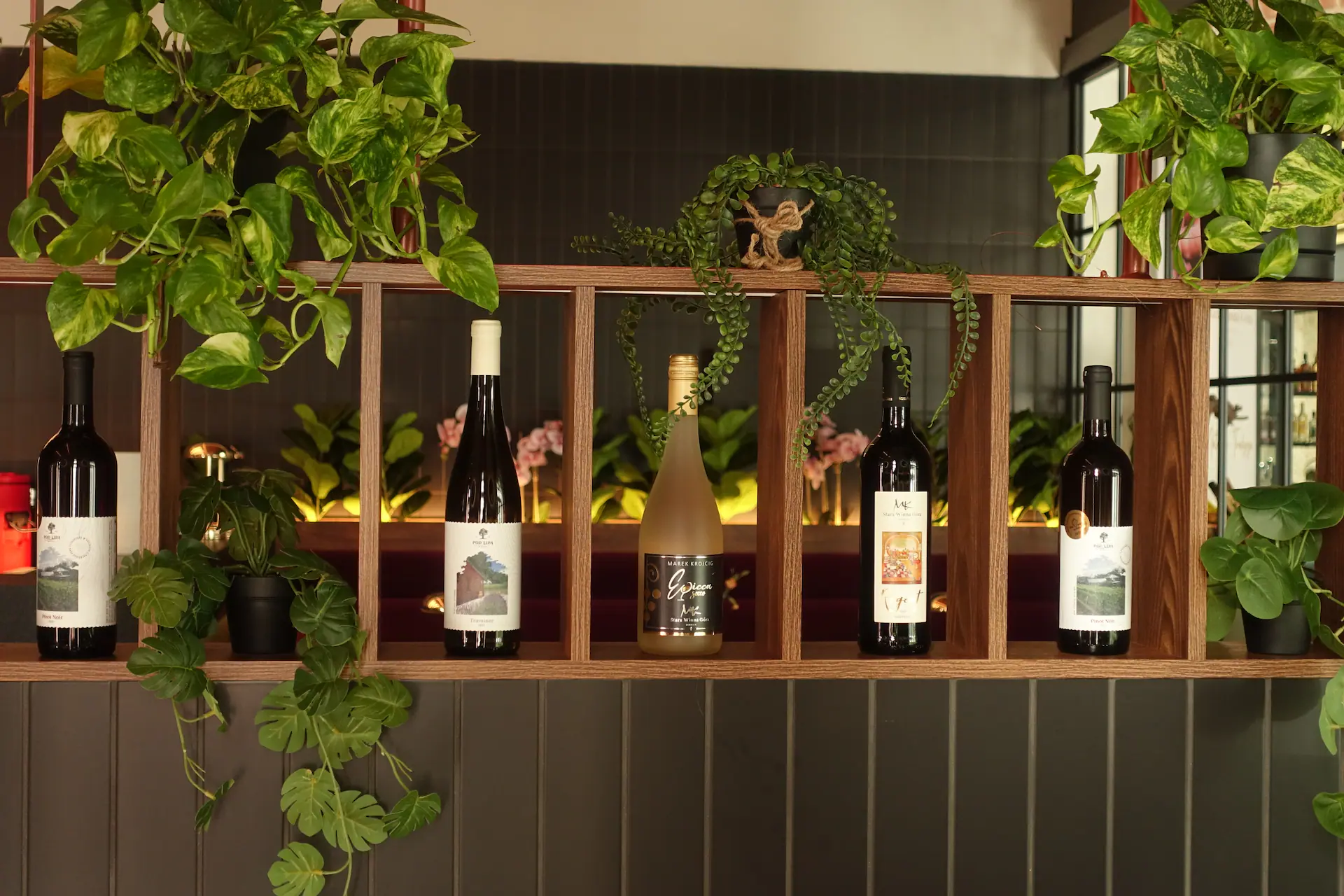 Regał z winami w Bistro Stara Winiarnia